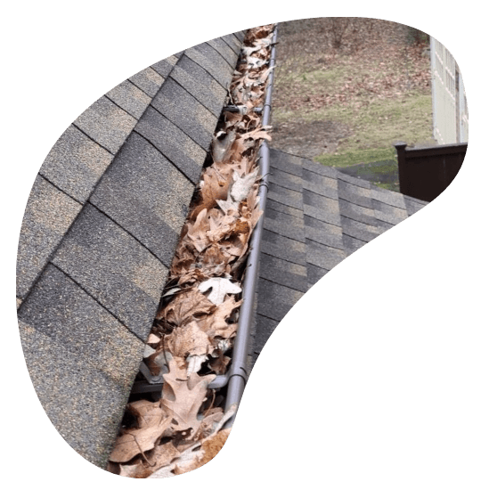 GUTTER CLEAN OUT